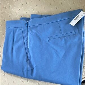 J. Crew Blue Ankle Cropped Pants